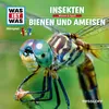 Insekten - Teil 01