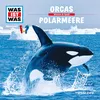 Orcas - Teil 01