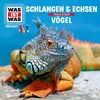 Schlangen & Echsen - Teil 03