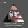 About Obsessed Bordertown Remix Song