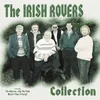 The Last Of The Irish Rover