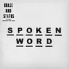 About Spoken Word Song