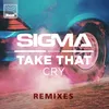 Cry Control-S Remix