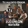 About Tu Maldito Error Song