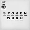 About Spoken Word 1991 Remix Song