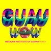 About Wow GUAU! Mexican Institute of Sound Remix Song