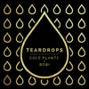 About Teardrops Song