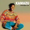 African Man-Album Version