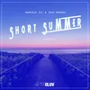 About Short Summer Song