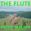 About The Flute Digital Farm Animals Remix Song