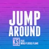 About Jump Around Song
