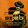 About What Do You Love Song