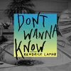 About Don't Wanna Know Song