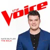 About The Walk-The Voice Performance Song