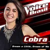 About Dream A Little Dream Of Me The Voice Brasil 2016 Song