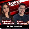 About Te Dar Um Beijo-The Voice Brasil 2016 Song