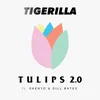 About TULIPS 2.0 Song