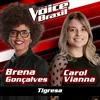 About Tigresa The Voice Brasil 2016 Song