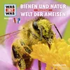 Wie Bienen sehen