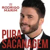 About Pura Sacanagem Song