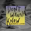 About Don't Wanna Know Ryan Riback Remix Song