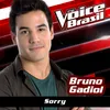 Sorry-The Voice Brasil 2016