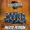 Pasito Perrón-Album Version