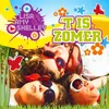 About 't Is Zomer Song