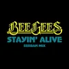 About Stayin’ Alive-Serban Mix Song