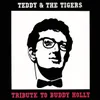 Tribute To Buddy Holly 2007 Remaster