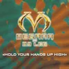 Hold Your Hands Up High Single Mix