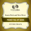 Pocket Full Of Seeds Medium Key Performance Track With Background Vocals