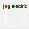 The Electric Joy Toy Company