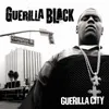 Guerilla City