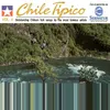 Los Lagos De Chile