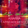 About Livin’ The Life-Afrojack Remix Song