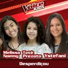 About Desperdiçou-The Voice Brasil Kids 2017 Song