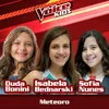 Meteoro-The Voice Brasil Kids 2017