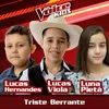 About Triste Berrante-The Voice Brasil Kids 2017 Song