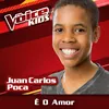 É O Amor-The Voice Brasil Kids 2017