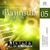 Anandoloke-Live From The Peninsula Studios / 2017
