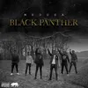About Black Panther Song