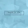 About Shape Of You Song