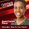 Desculpe, Mas Eu Vou Chorar-The Voice Brasil Kids 2017