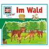 Das Waldlied