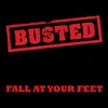 About Fall At Your Feet Song