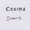 About Dreams Song