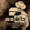 What Do You Love Broiler Remix