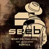 What Do You Love SWIING Remix