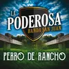 About Perro De Rancho-Album Version Song